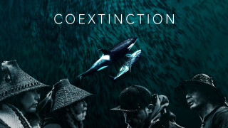 Coextinction