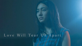 Love Will Tear Us Apart