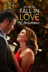 How to Fall in Love by Christmas