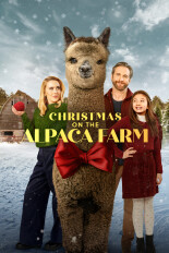 Christmas on the Alpaca Farm