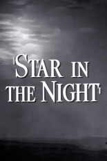 Star in the Night