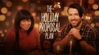 The Holiday Proposal Plan