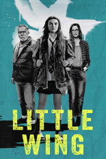 Little Wing