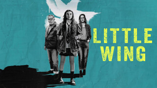 Little Wing