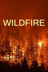 Wildfire