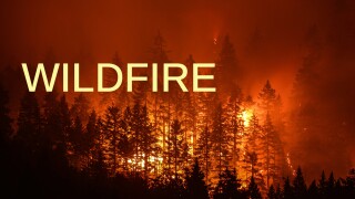 Wildfire