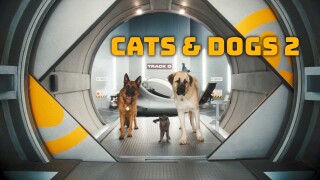 Cats & Dogs 2