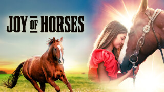 Joy of Horses