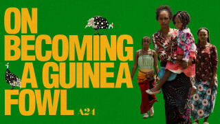 On Becoming a Guinea Fowl