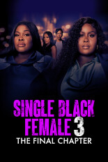 Single Black Female 3: The Final Chapter