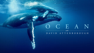 Ocean with David Attenborough