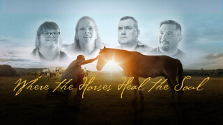 Where the Horses Heal the Soul