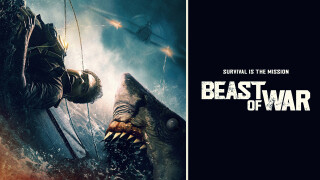 Beast of War