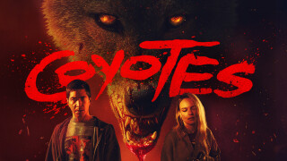Coyotes