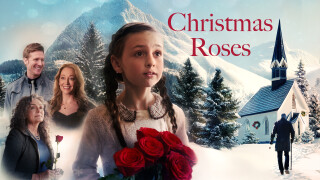 Christmas Roses