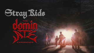 Stray Kids: The dominATE Experience