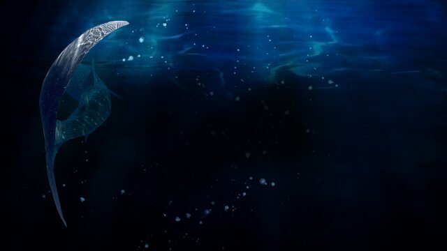 Watch Shark Terror: The Real Jaws Full Movie on DIRECTV