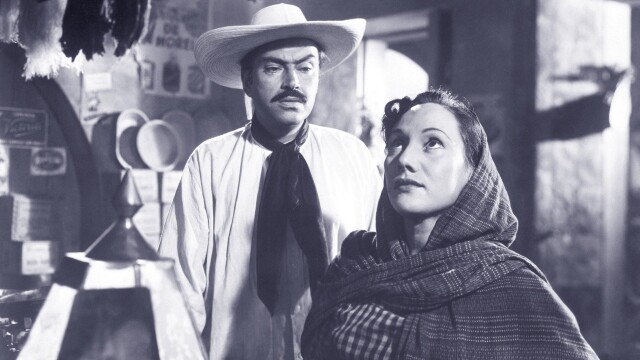 Soledad's Shawl