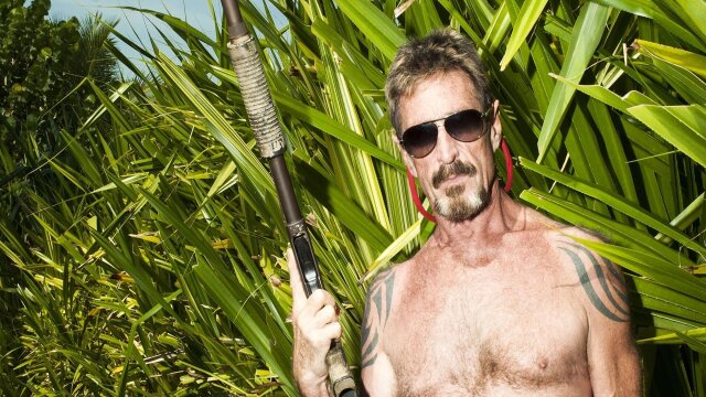 Gringo: The Dangerous Life of John McAfee