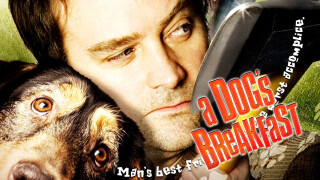 A Dog's Breakfast
