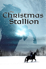 The Christmas Stallion