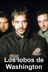 Los lobos de Washington