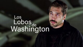 Los lobos de Washington