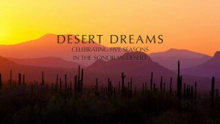 Desert Dreams: Celebrating Five Seasons in the Sonoran Desert