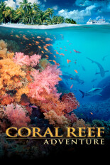 Coral Reef Adventure