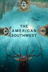 The American Southwest