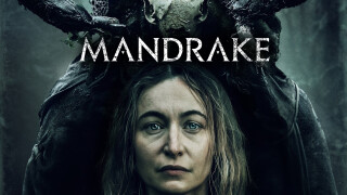Mandrake