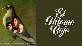 El palomo cojo