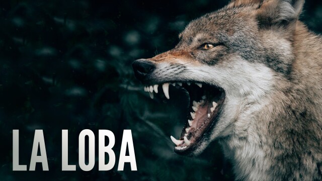 La Loba