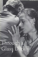 Through a Glass Darkly