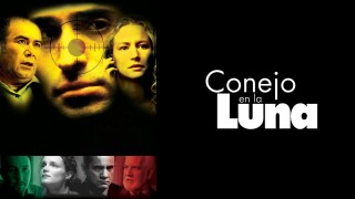 Conejo en la Luna