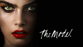The Model