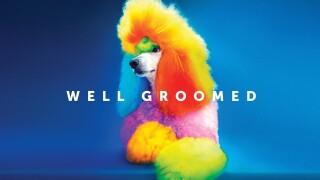 Well Groomed
