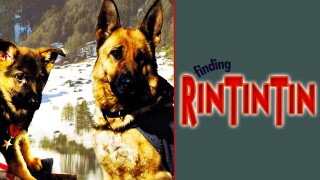 Finding Rin Tin Tin