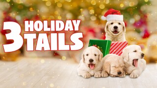 3 Holiday Tails