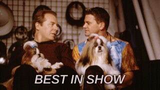 Best in Show