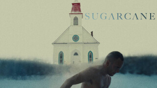 Sugarcane