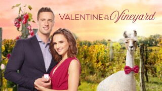 Valentine in the Vineyard