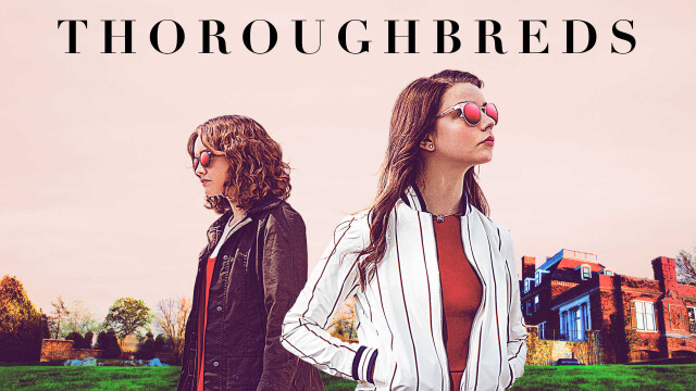 Thoroughbreds