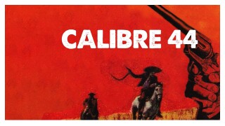 Calibre 44