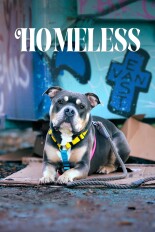 Homeless