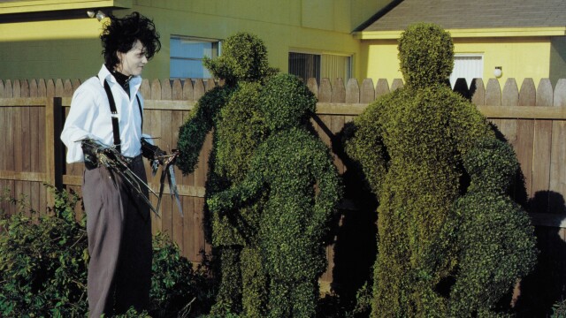 Edward Scissorhands