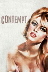 Contempt