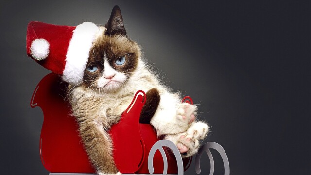 Grumpy Cat's Worst Christmas Ever