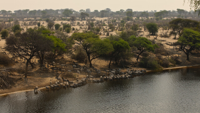 Boteti: The Returning River