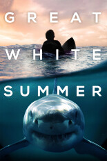 Great White Summer